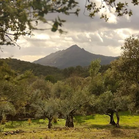 Casa El Zorzal Caces